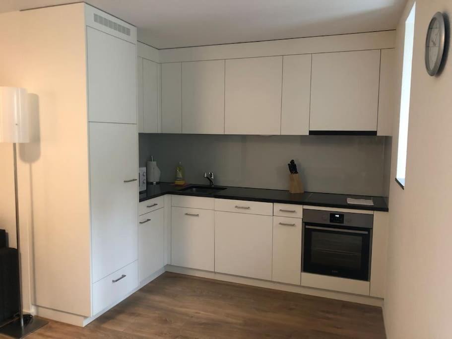 Fantastic 2br Flat Close To Paradeplatz - Canal2 Zurique